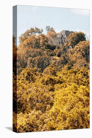 ¡Viva Mexico! Collection - Ancient Maya City within the jungle in autumn II - Calakmul-Philippe Hugonnard-Premier Image Canvas