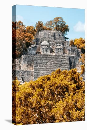¡Viva Mexico! Collection - Ancient Maya City within the jungle in Autumn of Calakmul II-Philippe Hugonnard-Premier Image Canvas