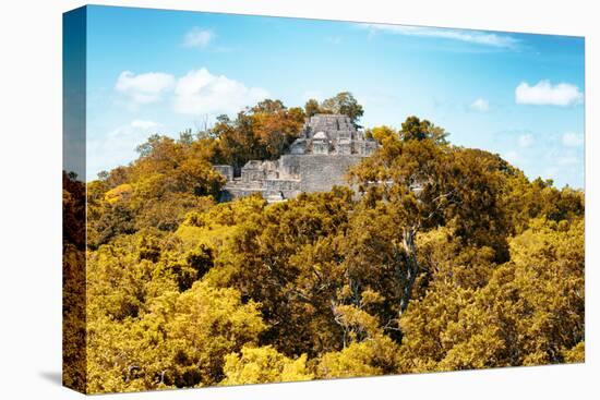 ¡Viva Mexico! Collection - Ancient Maya City within the jungle in Autumn of Calakmul III-Philippe Hugonnard-Premier Image Canvas