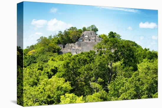 ¡Viva Mexico! Collection - Ancient Maya City within the jungle of Calakmul V-Philippe Hugonnard-Premier Image Canvas