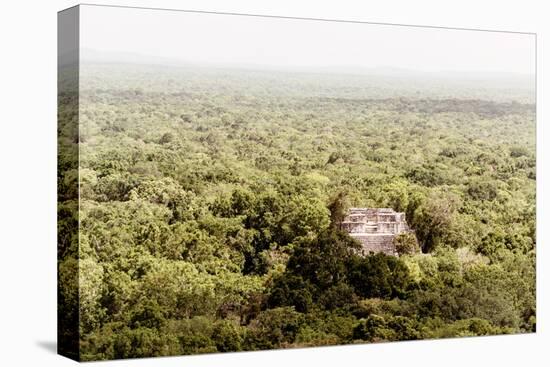 ¡Viva Mexico! Collection - Ancient Maya City within the jungle V - Calakmul-Philippe Hugonnard-Premier Image Canvas