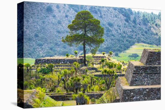 ¡Viva Mexico! Collection - Cantona Archaeological Ruins III-Philippe Hugonnard-Premier Image Canvas