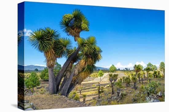 ¡Viva Mexico! Collection - Cantona Archaeological Ruins-Philippe Hugonnard-Premier Image Canvas