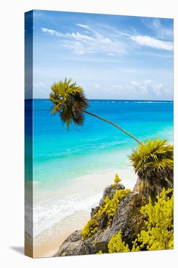 ¡Viva Mexico! Collection - Caribbean Coastline in Tulum IV-Philippe Hugonnard-Premier Image Canvas