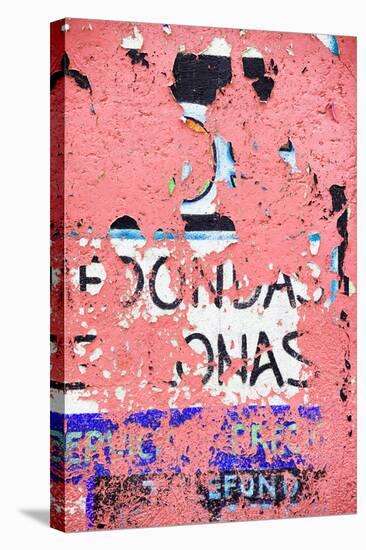 ¡Viva Mexico! Collection - Coral Street Wall Art-Philippe Hugonnard-Premier Image Canvas