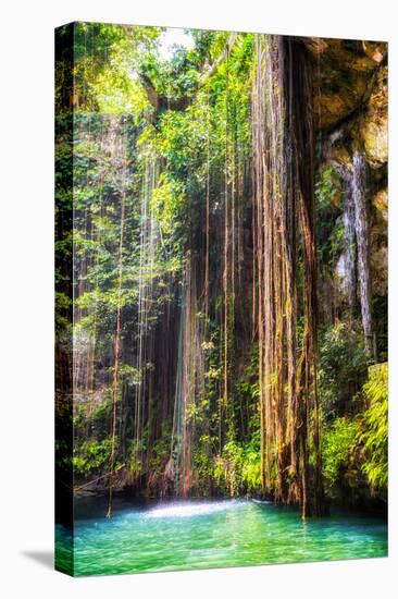 ¡Viva Mexico! Collection - Hanging Roots of Ik-Kil Cenote II-Philippe Hugonnard-Premier Image Canvas