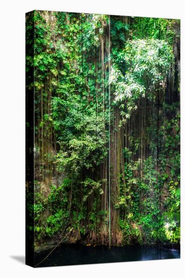 ¡Viva Mexico! Collection - Hanging Roots of Ik-Kil Cenote III-Philippe Hugonnard-Premier Image Canvas