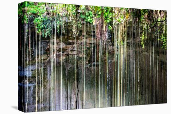 ¡Viva Mexico! Collection - Hanging Roots of Ik-Kil Cenote IV-Philippe Hugonnard-Premier Image Canvas