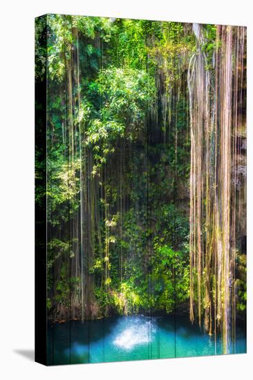 ¡Viva Mexico! Collection - Hanging Roots of Ik-Kil Cenote-Philippe Hugonnard-Premier Image Canvas