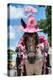 ¡Viva Mexico! Collection - Horse with a Pink Hat-Philippe Hugonnard-Premier Image Canvas
