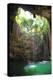 ?Viva Mexico! Collection - Ik-Kil Cenote II-Philippe Hugonnard-Premier Image Canvas