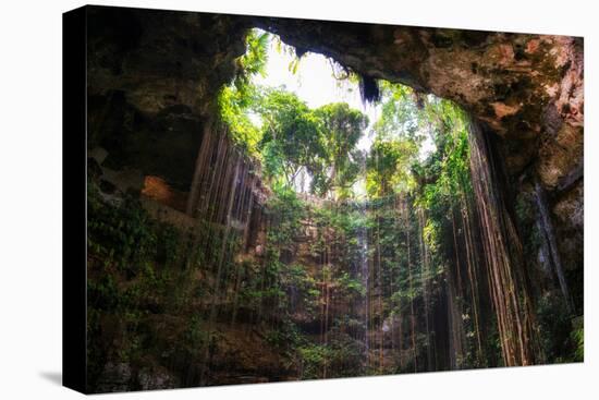 ¡Viva Mexico! Collection - Ik-Kil Cenote-Philippe Hugonnard-Premier Image Canvas