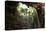 ¡Viva Mexico! Collection - Ik-Kil Cenote-Philippe Hugonnard-Premier Image Canvas