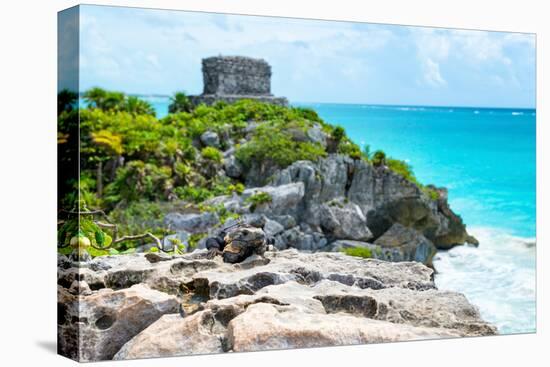 ¡Viva Mexico! Collection - Mayan Archaeological Site with Iguana II - Tulum-Philippe Hugonnard-Premier Image Canvas