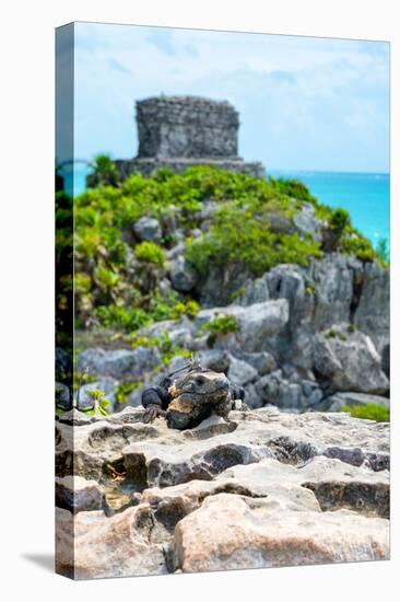 ¡Viva Mexico! Collection - Mayan Archaeological Site with Iguana III - Tulum-Philippe Hugonnard-Premier Image Canvas