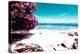 ¡Viva Mexico! Collection - Pink Caribbean Coastline - Isla Mujeres-Philippe Hugonnard-Premier Image Canvas