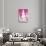 ¡Viva Mexico! Collection - Pink Coke-Philippe Hugonnard-Premier Image Canvas displayed on a wall