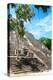 ¡Viva Mexico! Collection - Ruins of the ancient Mayan city of Calakmul IV-Philippe Hugonnard-Premier Image Canvas