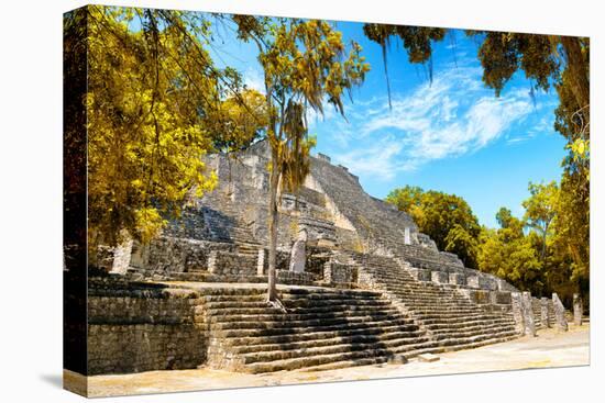 ¡Viva Mexico! Collection - Ruins of the ancient Mayan city with Fall Colors of Calakmul III-Philippe Hugonnard-Premier Image Canvas