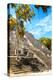 ¡Viva Mexico! Collection - Ruins of the ancient Mayan city with Fall Colors of Calakmul IV-Philippe Hugonnard-Premier Image Canvas