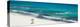 ¡Viva Mexico! Panoramic Collection - Blue Ocean and White Beach - Cancun-Philippe Hugonnard-Premier Image Canvas