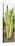 ¡Viva Mexico! Panoramic Collection - Cactus VI-Philippe Hugonnard-Premier Image Canvas