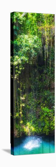 ¡Viva Mexico! Panoramic Collection - Hanging Roots of Ik-Kil Cenote II-Philippe Hugonnard-Premier Image Canvas