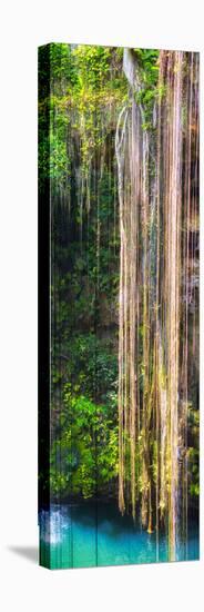 ¡Viva Mexico! Panoramic Collection - Hanging Roots of Ik-Kil Cenote III-Philippe Hugonnard-Premier Image Canvas