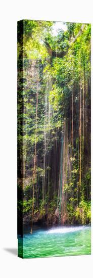 ¡Viva Mexico! Panoramic Collection - Hanging Roots of Ik-Kil Cenote IV-Philippe Hugonnard-Premier Image Canvas