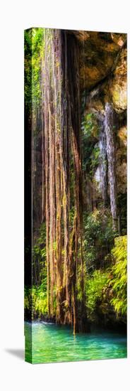 ¡Viva Mexico! Panoramic Collection - Hanging Roots of Ik-Kil Cenote V-Philippe Hugonnard-Premier Image Canvas