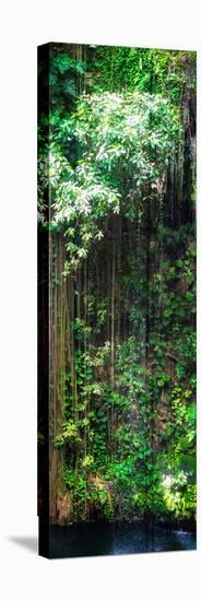 ¡Viva Mexico! Panoramic Collection - Hanging Roots of Ik-Kil Cenote VII-Philippe Hugonnard-Premier Image Canvas