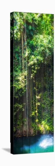¡Viva Mexico! Panoramic Collection - Hanging Roots of Ik-Kil Cenote-Philippe Hugonnard-Premier Image Canvas