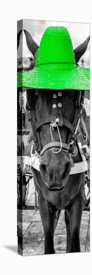 ¡Viva Mexico! Panoramic Collection - Horse with a Green straw Hat-Philippe Hugonnard-Premier Image Canvas