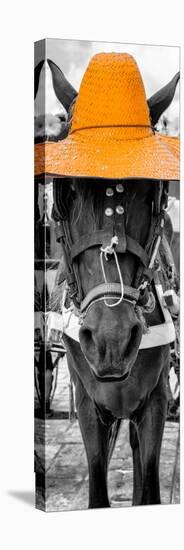 ¡Viva Mexico! Panoramic Collection - Horse with a Light Orange straw Hat-Philippe Hugonnard-Premier Image Canvas