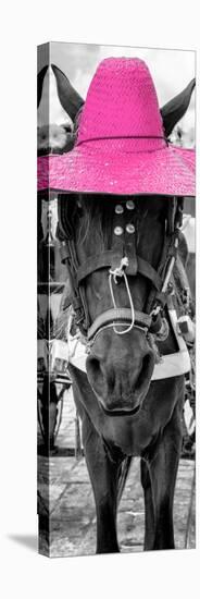 ¡Viva Mexico! Panoramic Collection - Horse with a Pink straw Hat-Philippe Hugonnard-Premier Image Canvas