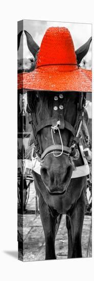 ¡Viva Mexico! Panoramic Collection - Horse with a Red straw Hat-Philippe Hugonnard-Premier Image Canvas