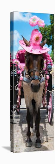 ¡Viva Mexico! Panoramic Collection - Horse with Pink Hat II-Philippe Hugonnard-Premier Image Canvas