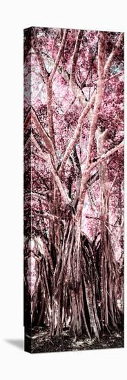 ¡Viva Mexico! Panoramic Collection - Jungle Trees II-Philippe Hugonnard-Premier Image Canvas