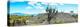 ¡Viva Mexico! Panoramic Collection - Pyramid of Cantona Archaeological Ruins III-Philippe Hugonnard-Premier Image Canvas