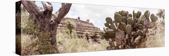¡Viva Mexico! Panoramic Collection - Pyramid of Cantona Archaeological Site IV-Philippe Hugonnard-Premier Image Canvas