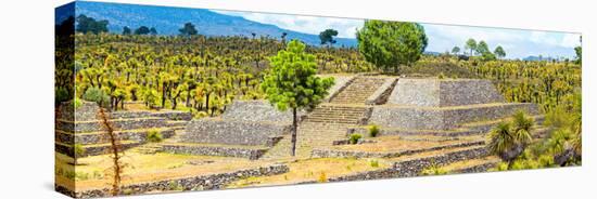 ¡Viva Mexico! Panoramic Collection - Pyramid of Cantona - Puebla IV-Philippe Hugonnard-Premier Image Canvas