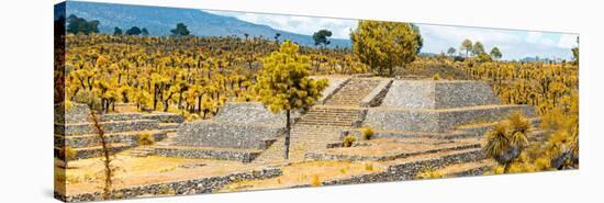 ¡Viva Mexico! Panoramic Collection - Pyramid of Cantona - Puebla VI-Philippe Hugonnard-Premier Image Canvas