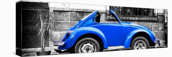 ¡Viva Mexico! Panoramic Collection - Small Royal Blue VW Beetle Car-Philippe Hugonnard-Premier Image Canvas