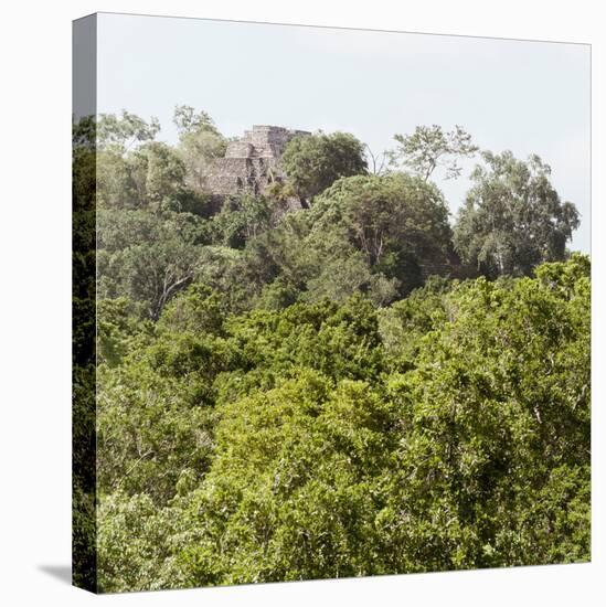 ¡Viva Mexico! Square Collection - Ancient Maya City within the Jungle - Calakmul III-Philippe Hugonnard-Premier Image Canvas