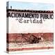 ¡Viva Mexico! Square Collection - "Caridad" Red Bike II-Philippe Hugonnard-Premier Image Canvas