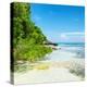 ¡Viva Mexico! Square Collection - Coastline Paradise in Isla Mujeres VI-Philippe Hugonnard-Premier Image Canvas