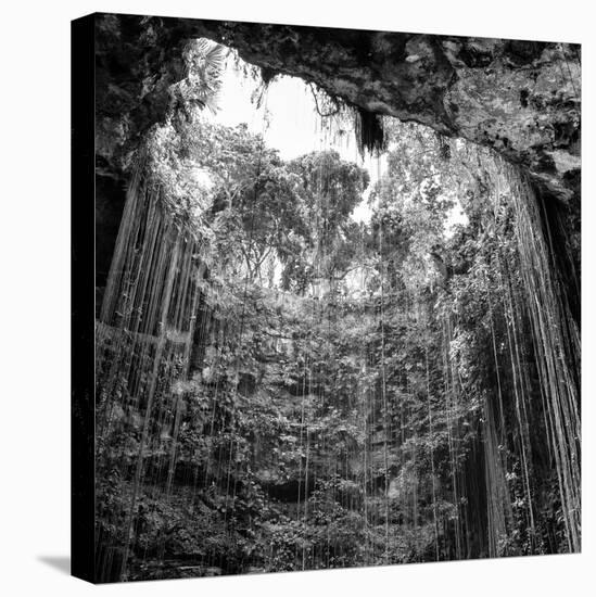 ¡Viva Mexico! Square Collection - Hanging Roots of Ik-Kil Cenote IV-Philippe Hugonnard-Premier Image Canvas