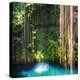 ¡Viva Mexico! Square Collection - Hanging Roots of Ik-Kil Cenote-Philippe Hugonnard-Premier Image Canvas