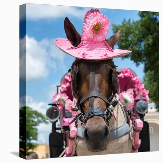 ¡Viva Mexico! Square Collection - Horse with a Pink Hat-Philippe Hugonnard-Premier Image Canvas