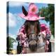 ¡Viva Mexico! Square Collection - Horse with a Pink Hat-Philippe Hugonnard-Premier Image Canvas